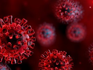 Vadgazdálkodás: a koronavírus hatásai az ágazatra