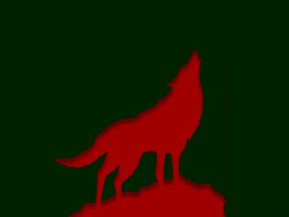 Állásfoglalás a borsodi farkas-ügyről